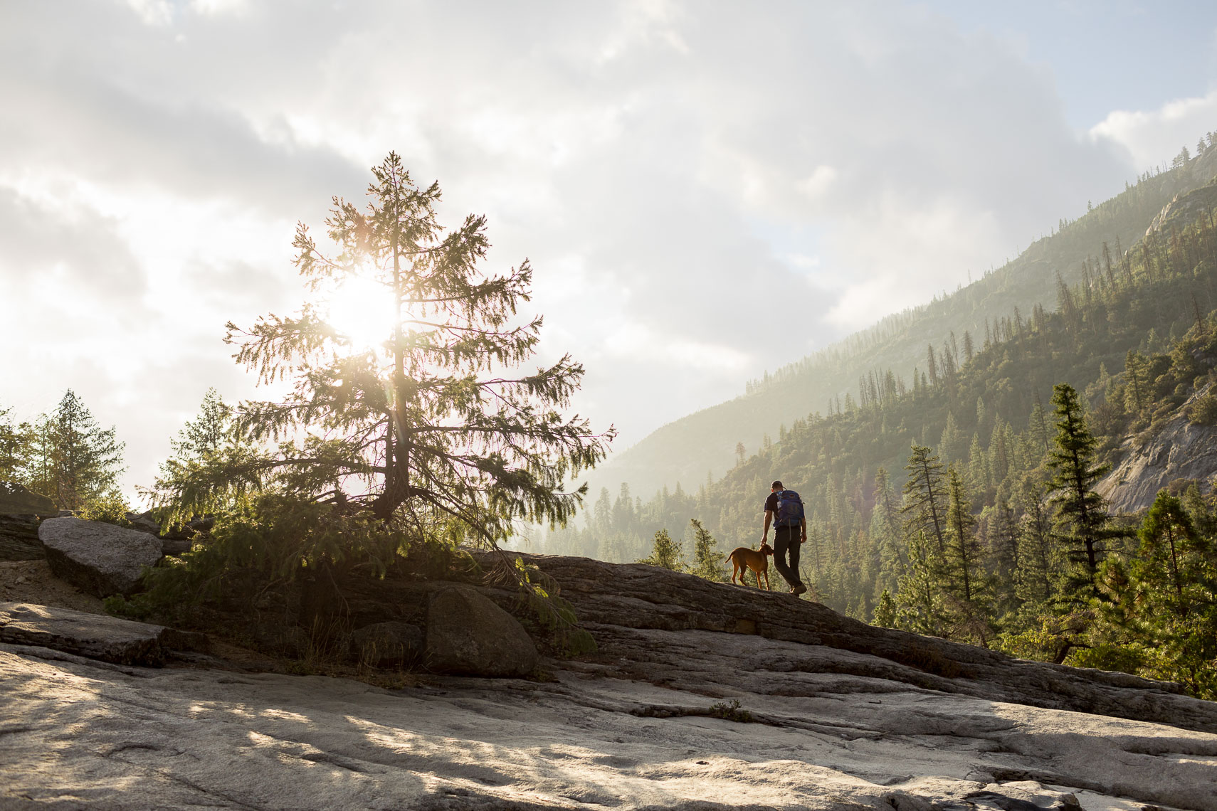Hiker with Dog