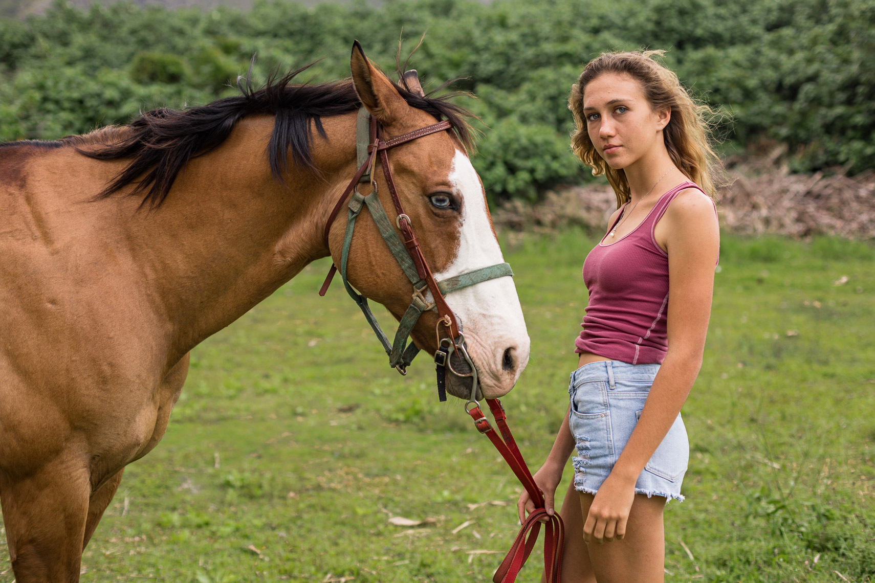 Girl Horse Portrait