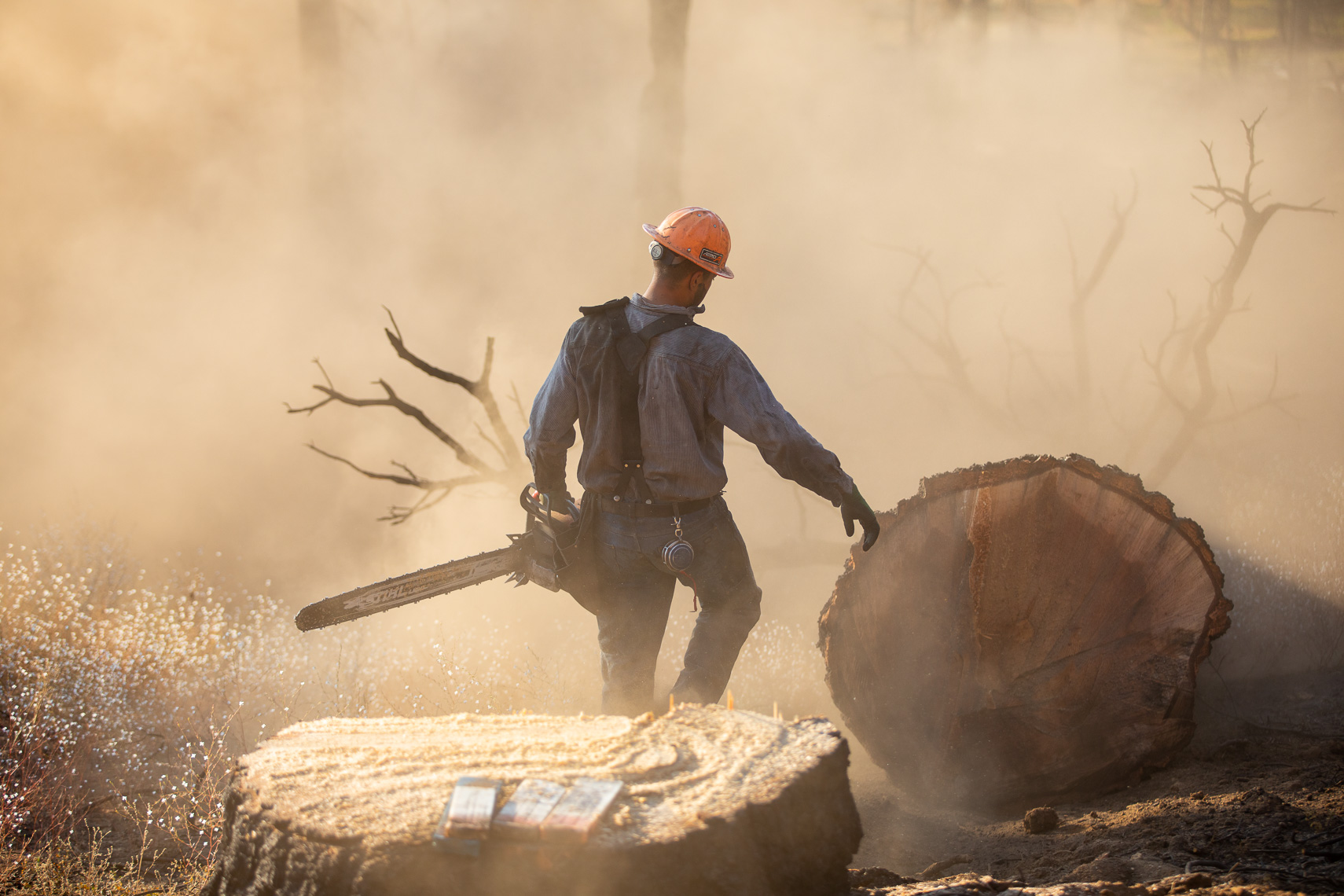 Logger smoke