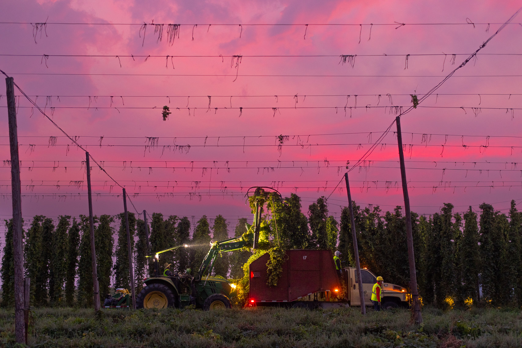 21-Sunset-Harvesting