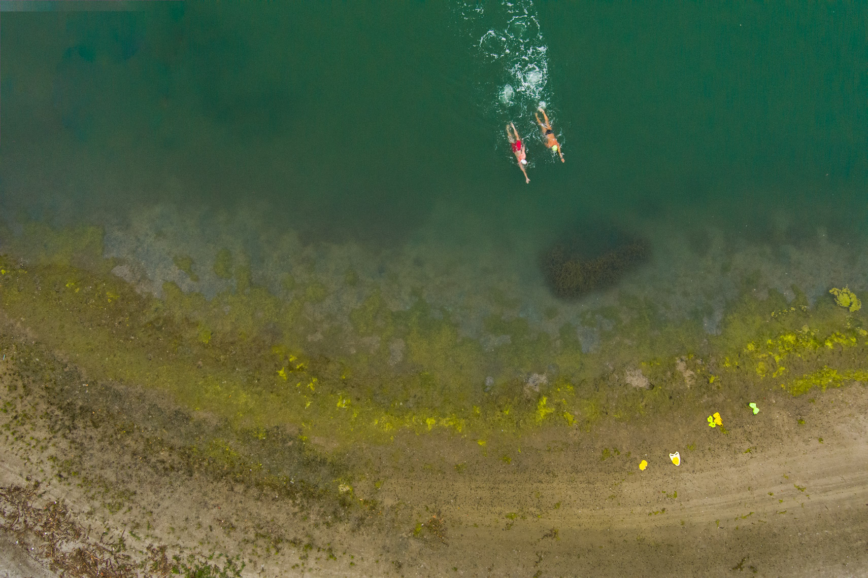 Drone open water swimming
