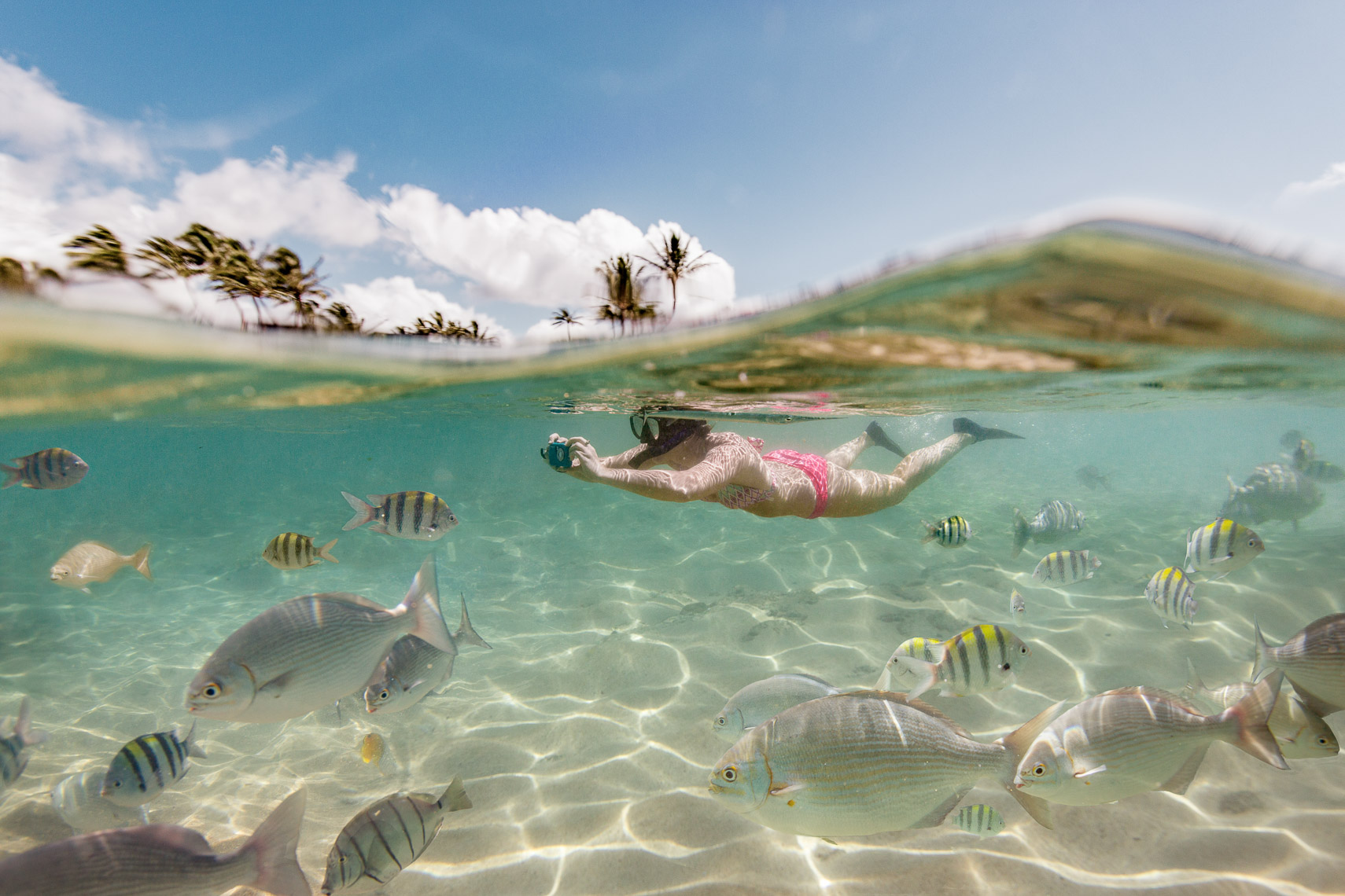 Snorkeling Underwater Photos