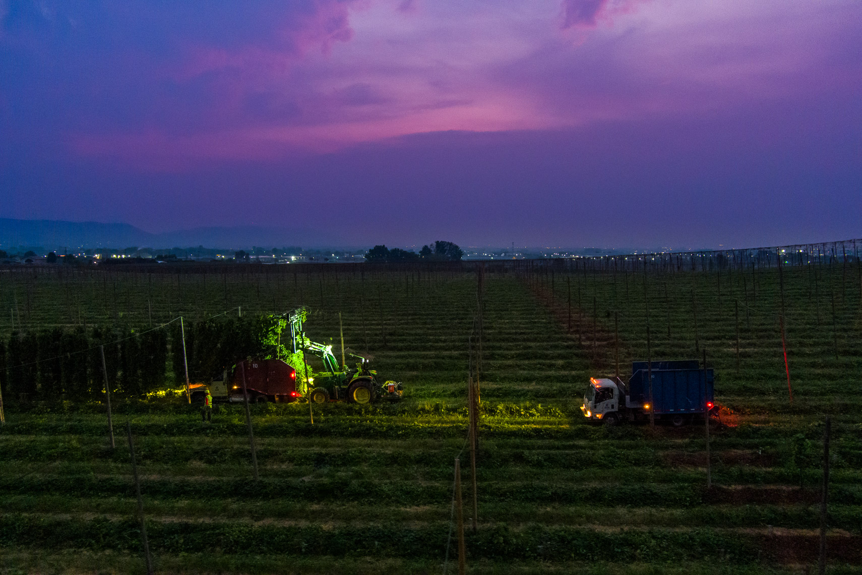 Night Harvesting