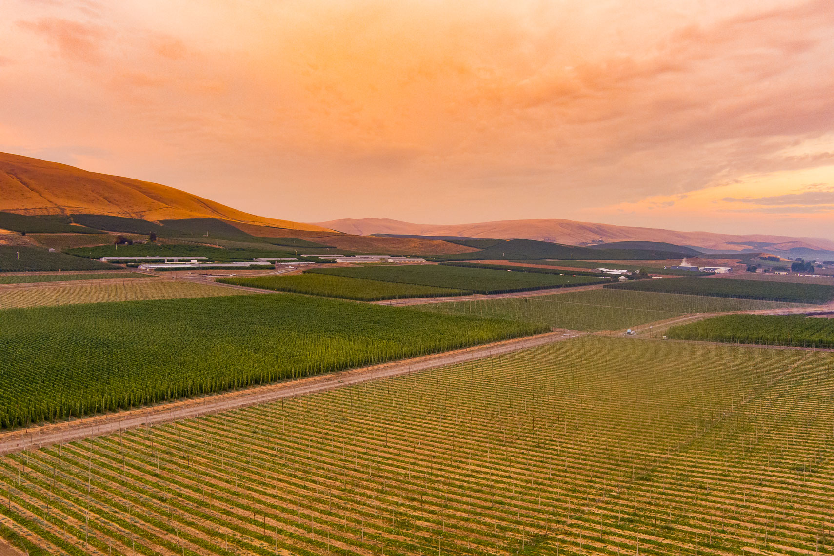 Yakima Washington Fields