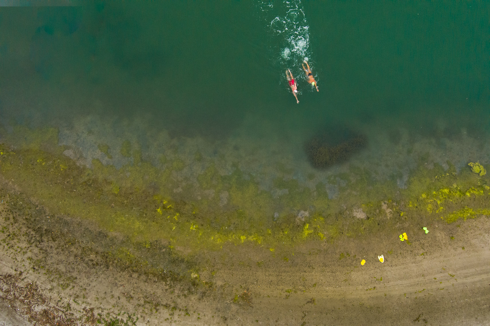 drone open water swimming