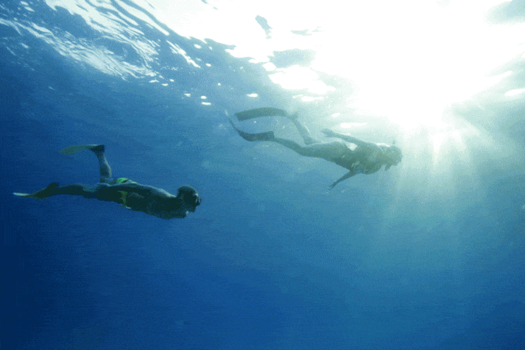 Underwater Divers